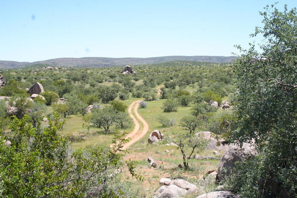 Hoada Camp Site Hotel Palmwag Bagian luar foto